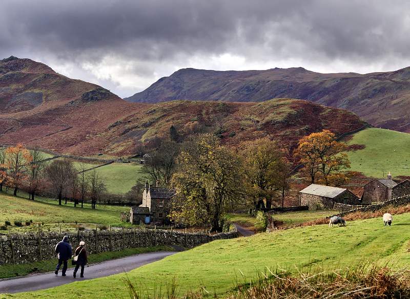 A Walk on the Wild Side.jpg - SONY DSC